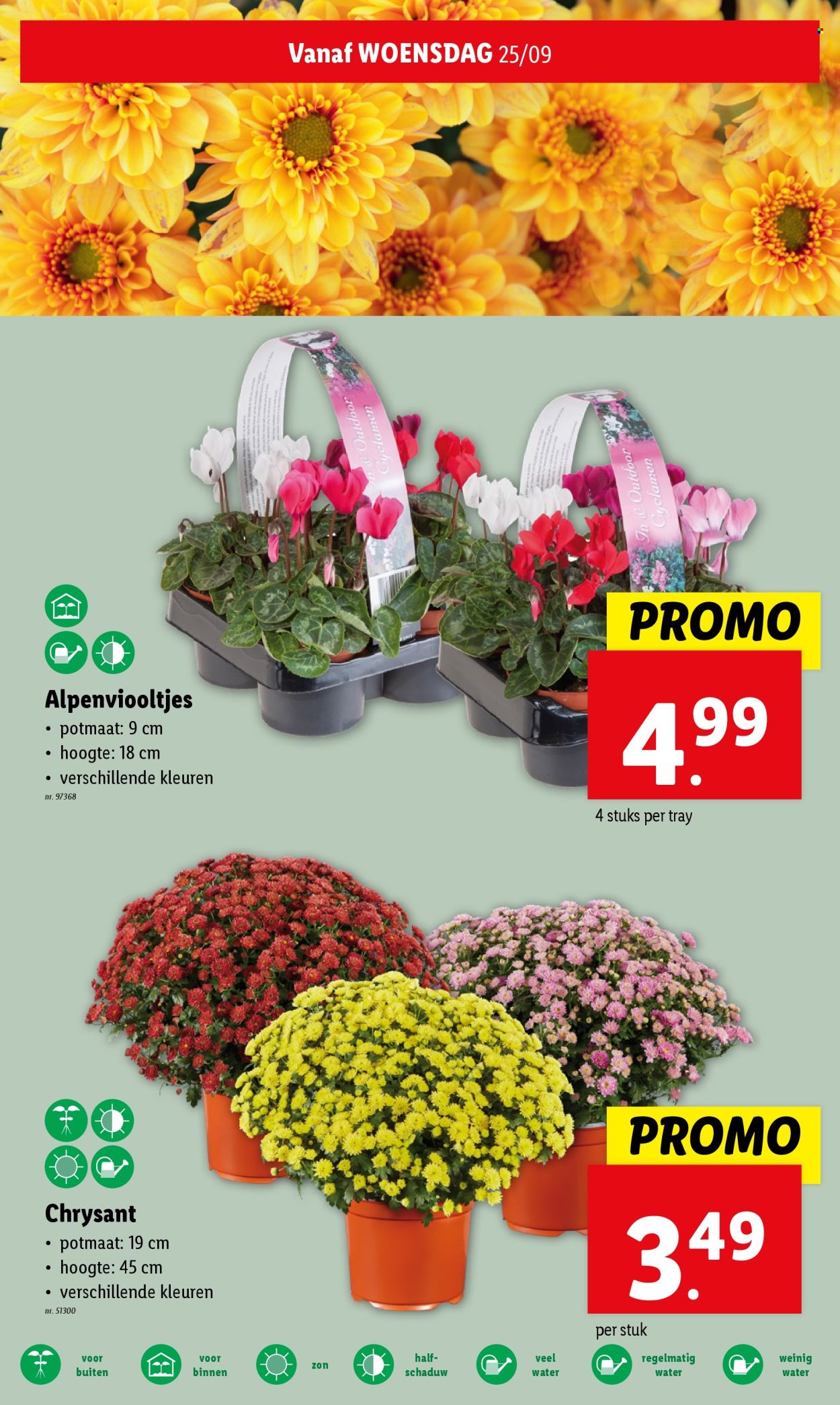 Lidl-aanbieding - 25/09/2024 - 01/10/2024. Pagina 20