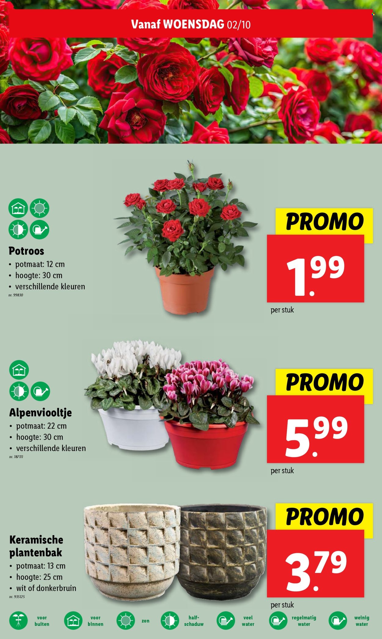 Lidl-aanbieding - 02/10/2024 - 08/10/2024. Pagina 23