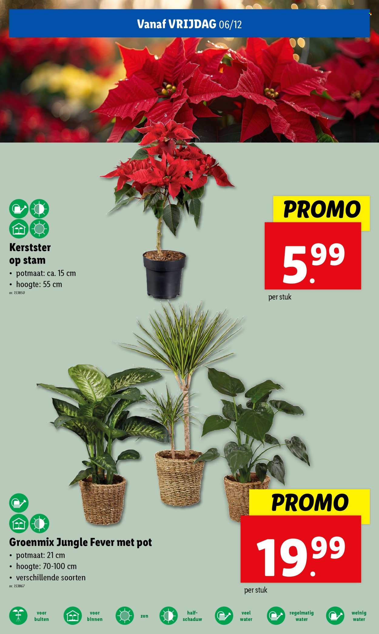 Lidl-aanbieding - 04/12/2024 - 10/12/2024. Pagina 1