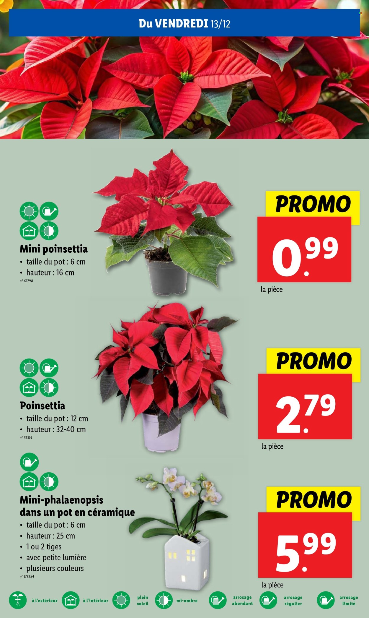 Lidl-aanbieding - 11/12/2024 - 17/12/2024. Pagina 1