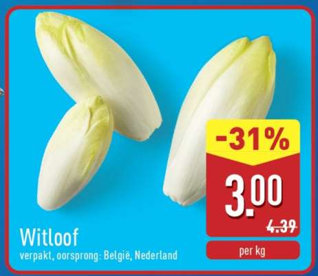 Witloof