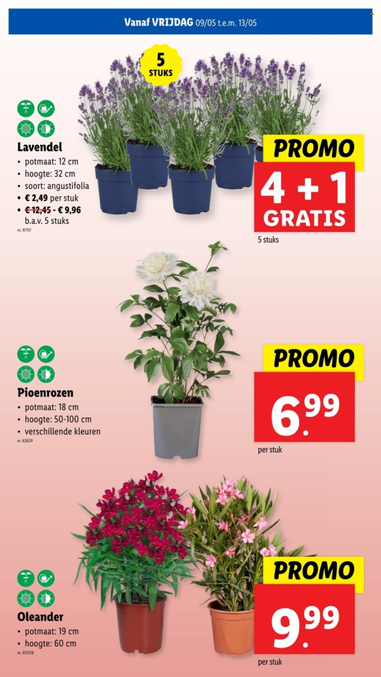 Lidl-aanbieding - 07/05/2025 - 13/05/2025. Pagina 1