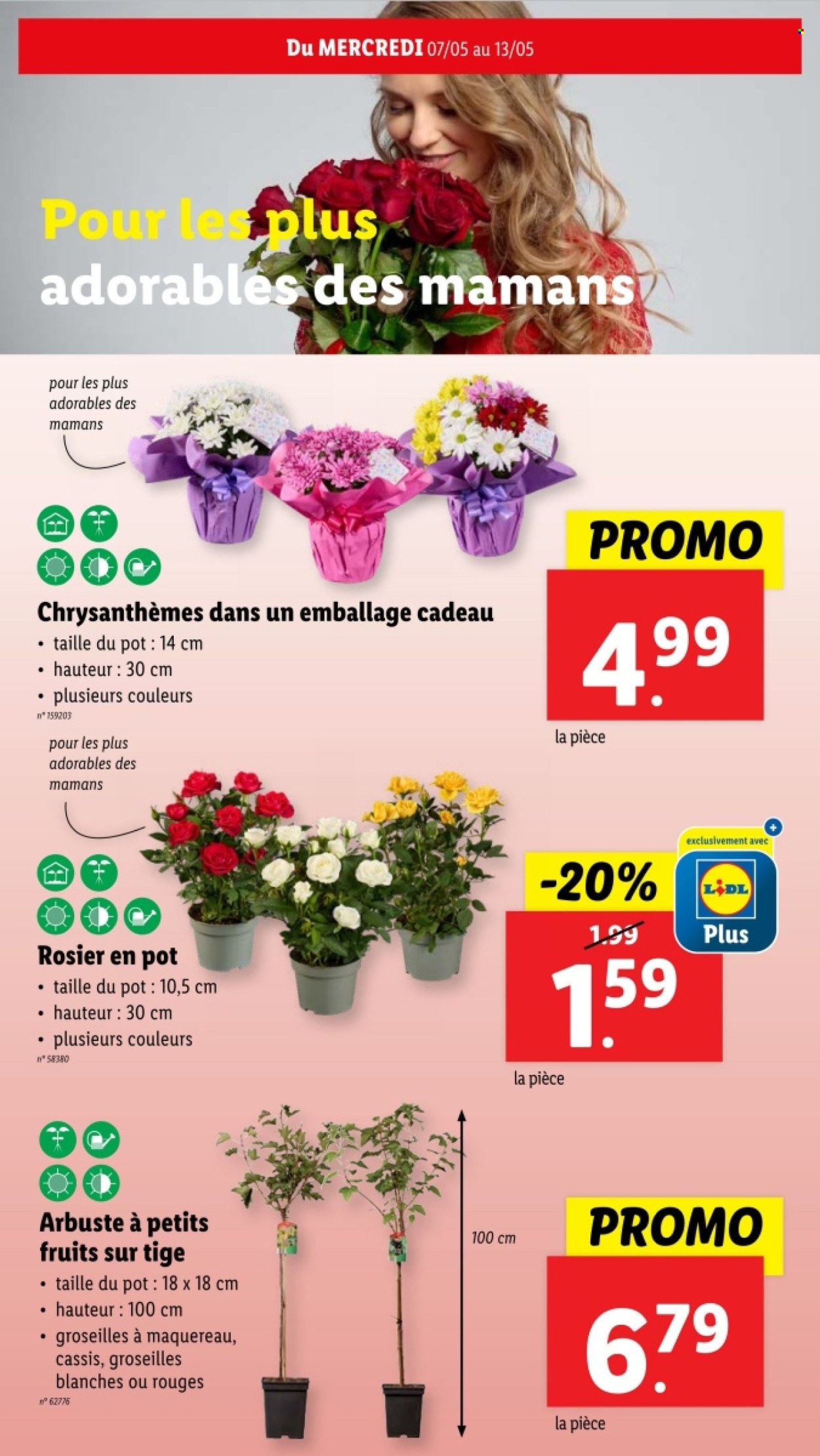 Lidl-aanbieding - 07/05/2025 - 13/05/2025. Pagina 1