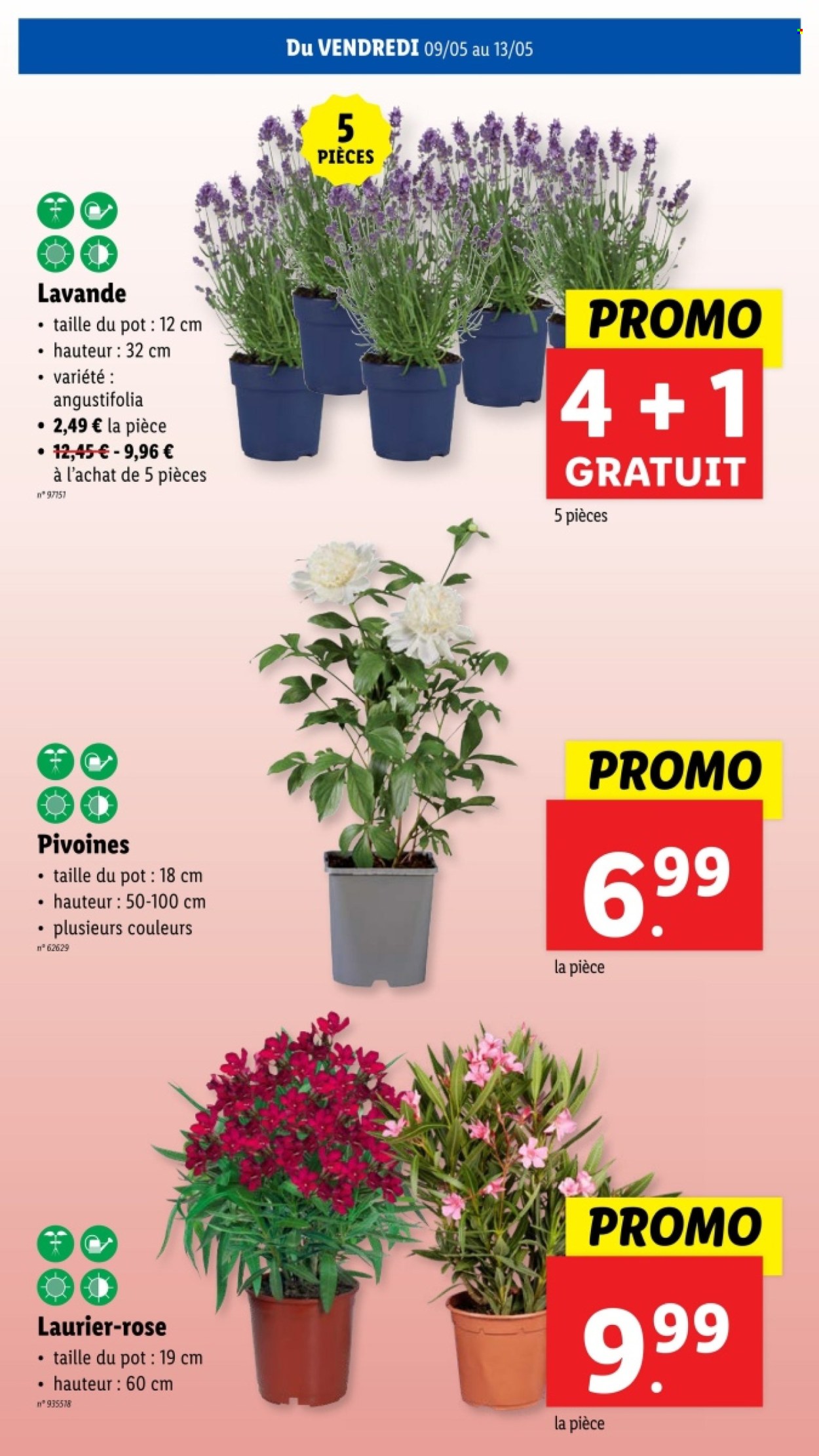 Lidl-aanbieding - 07/05/2025 - 13/05/2025. Pagina 1