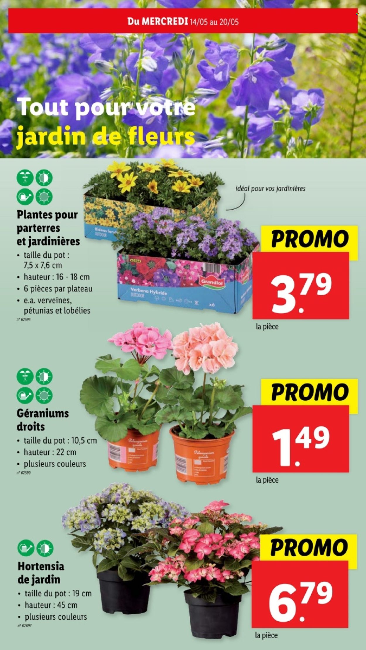 Lidl-aanbieding - 14/05/2025 - 20/05/2025. Pagina 1